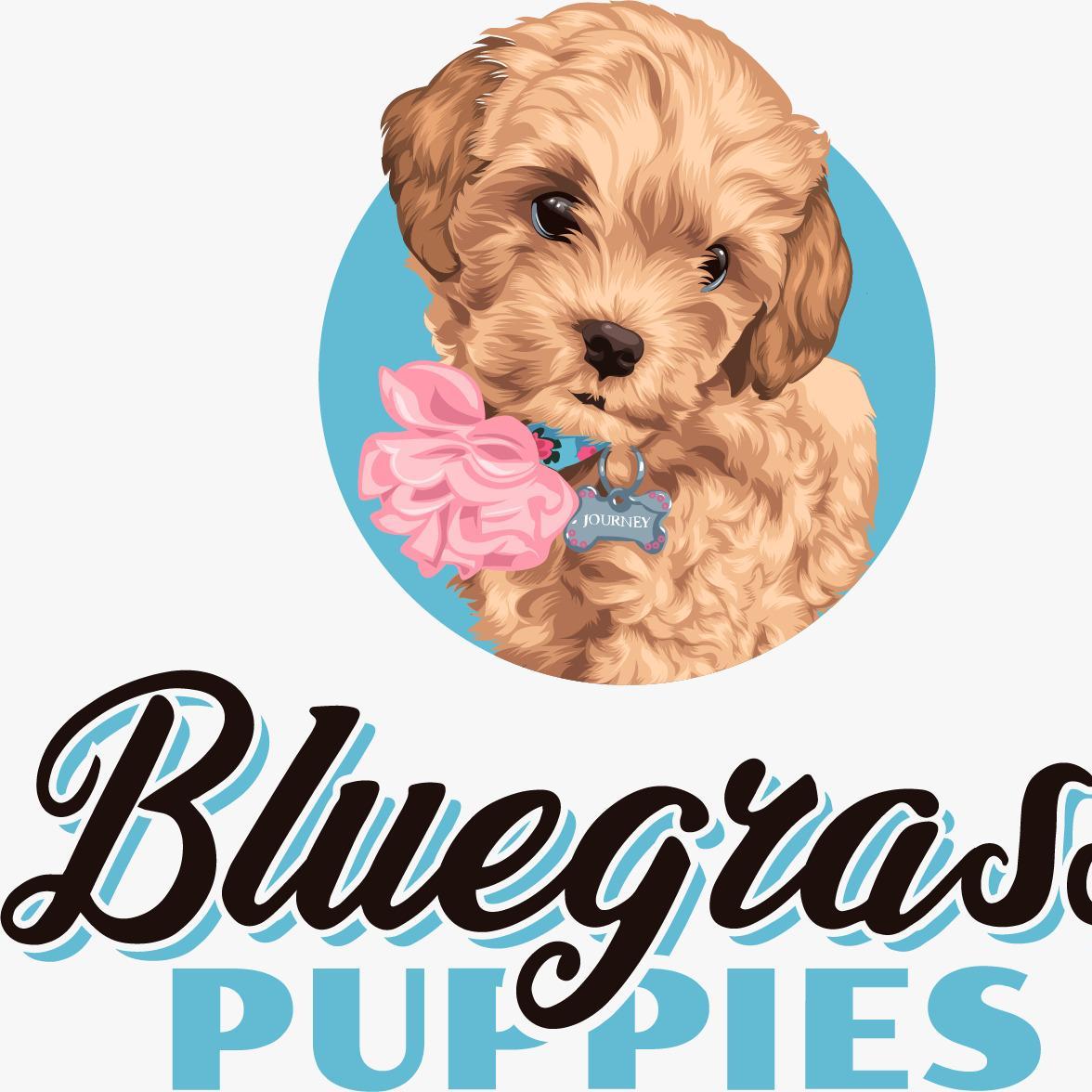 Bluegrass Puppies